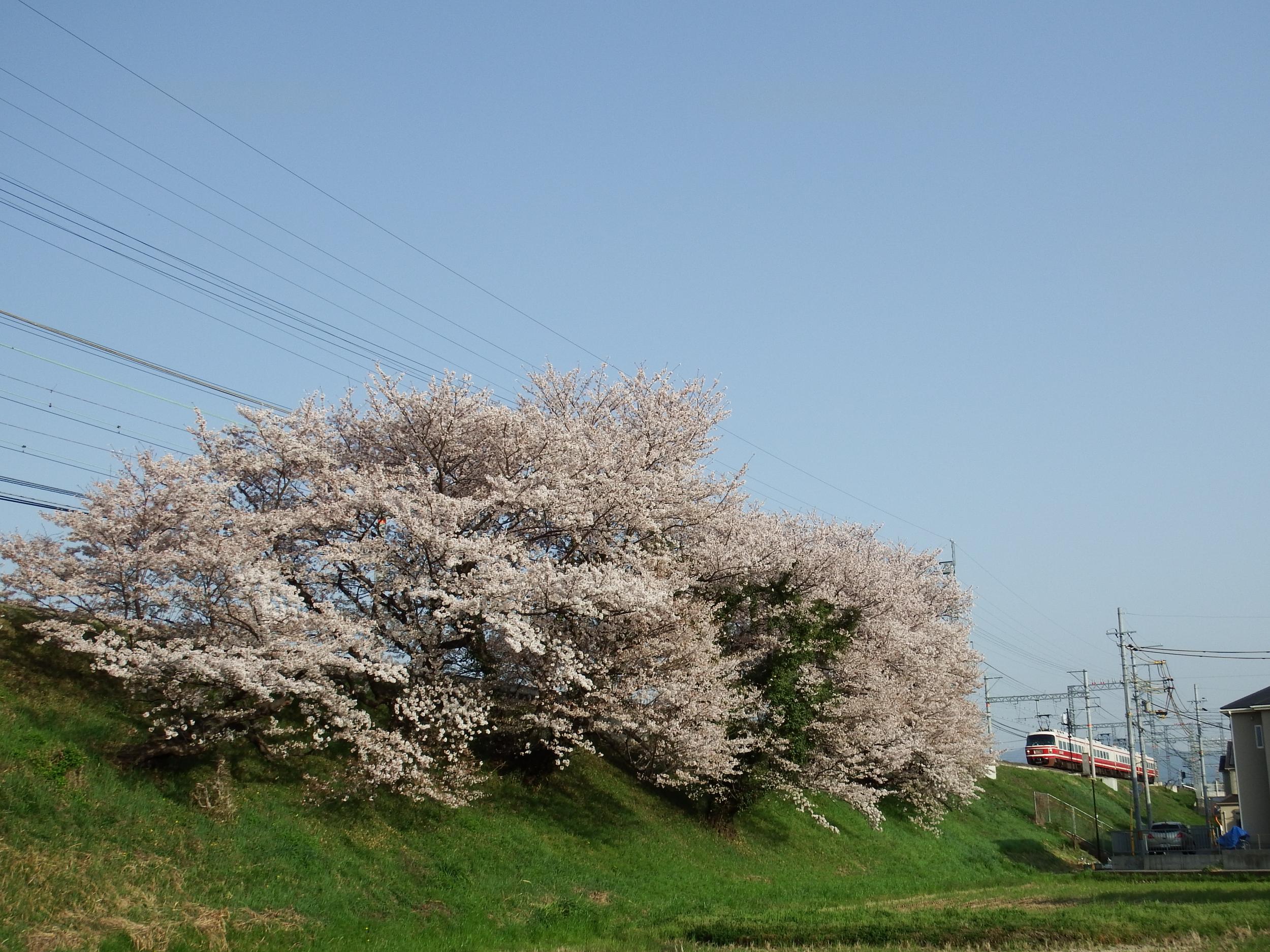 南海高野線狭山付近