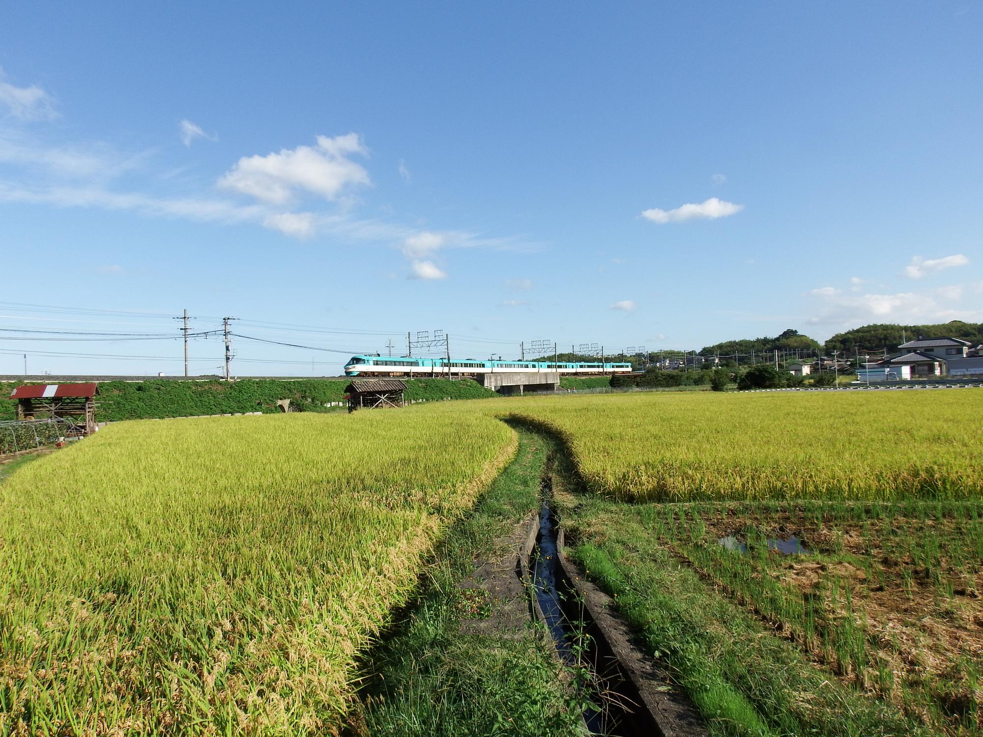 JR西 283系くろしお1号 JR西 283系くろしお1号