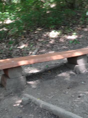 神津嶽ハイキングコース