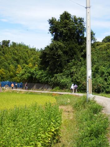 まさにハイキングコース