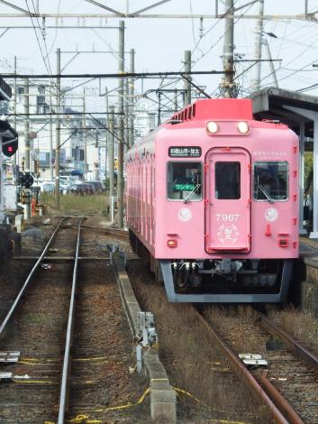 南海めでたいでんしゃピンク