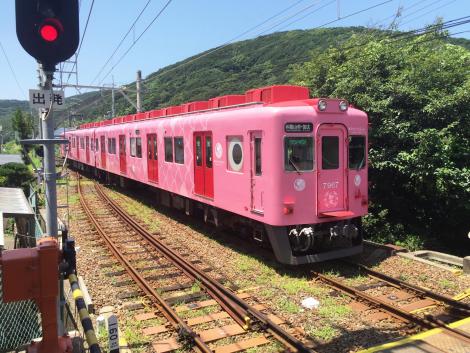 南海めでたい電車
