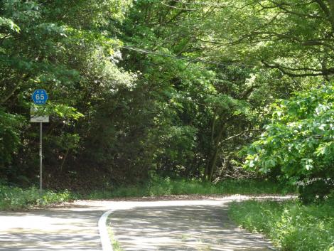 ワインディングロード