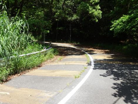 ワインディングロード