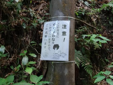 くくりわな注意!