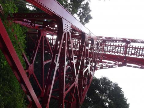 お立ち台から見上げる