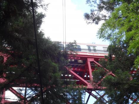 列車が渡ります