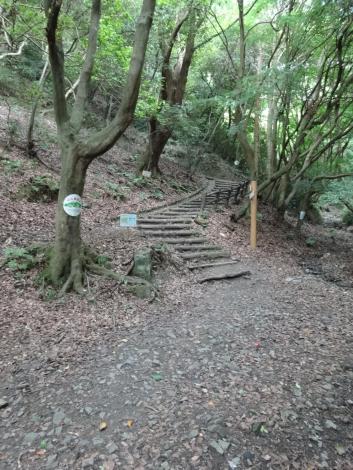 枚岡神社の裏手