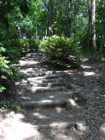 神津嶽ハイキングコース