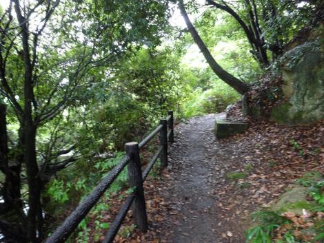 ハイキングコース風の道