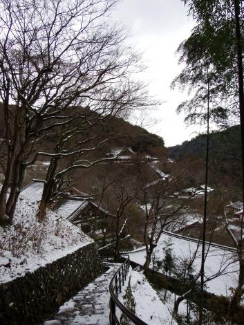 奥の院から本堂を眺める