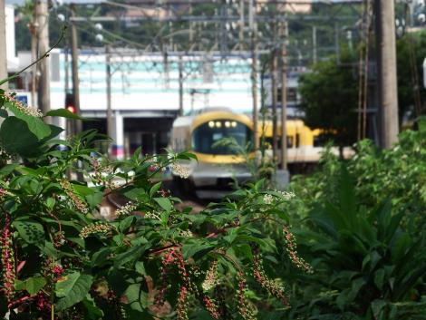 近鉄伊勢志摩ライナー