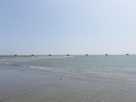 吉野川河口干潟