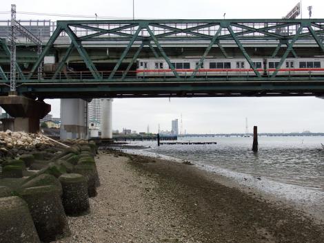 海老江干潟の阪神山陽直通特急