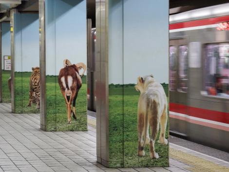 大市交 動物園前