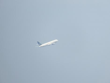 ANAスターアライアンス尾翼機