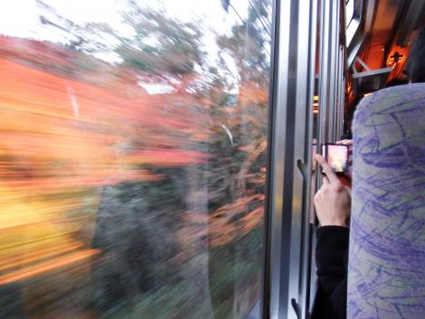 もみじのトンネル