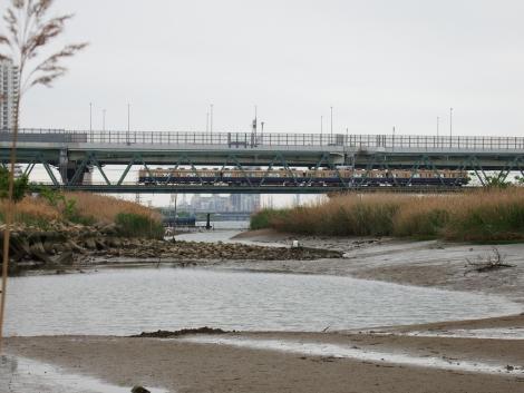 海老江干潟の阪神5000系