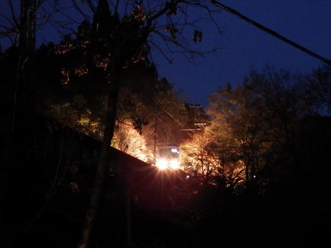 もみじのトンネル