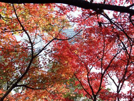 あべのハルカス