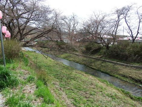 井手の玉川