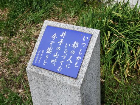 井手の玉川の歌碑
