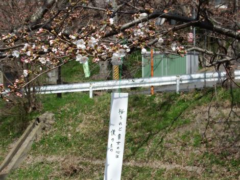 井手の玉川の短冊