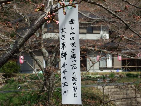 井手の玉川の短冊