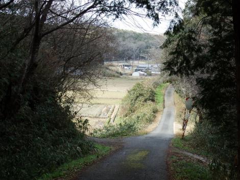 いきなり棚田が広がる