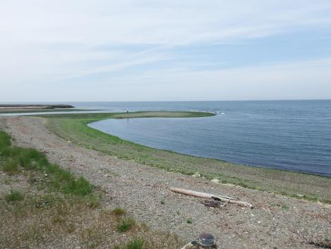 男里川河口干潟