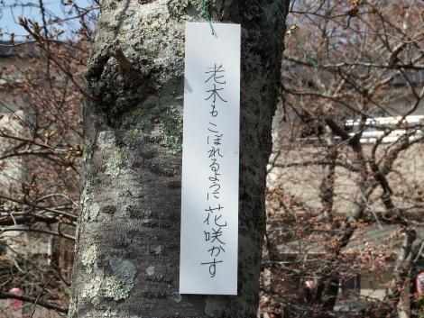 井手の玉川の短冊