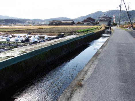 農業用水路