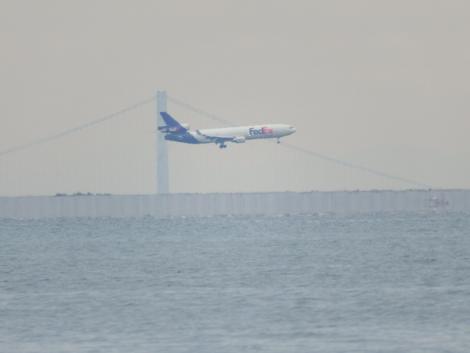 Fedexカーゴ着陸