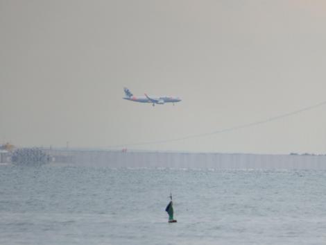 ジェットスター機