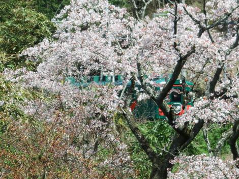 南海高野線天空