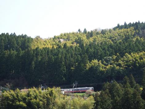 南海高野線31000系