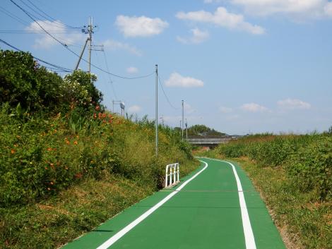 サイクリングロード