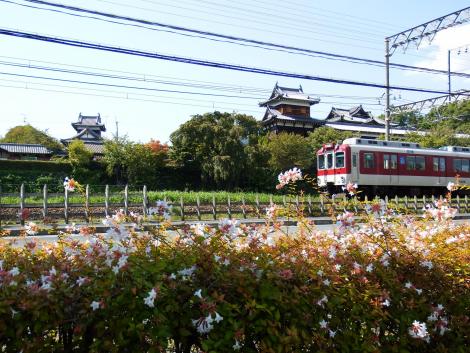 郡山城と急行電車