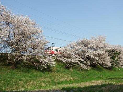南海高野線狭山付近