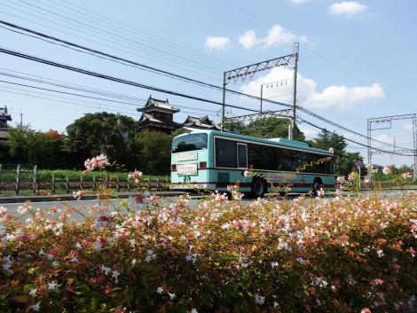 奈良交通復刻塗装のバス