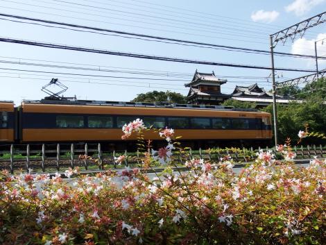 郡山城と特急電車