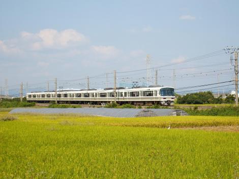 関西線快速とダイサギ