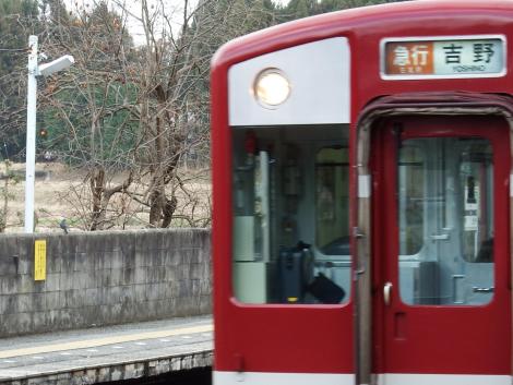 イソヒヨドリと近鉄6600系