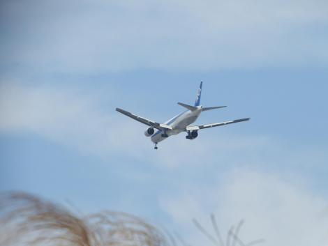 ANA ボーイング777-300