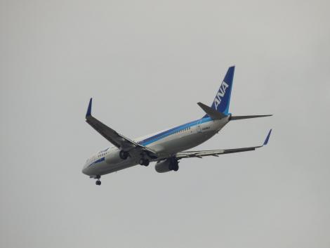 ANA ボーイング737-800