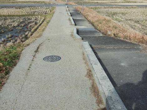 明日香村の田んぼ