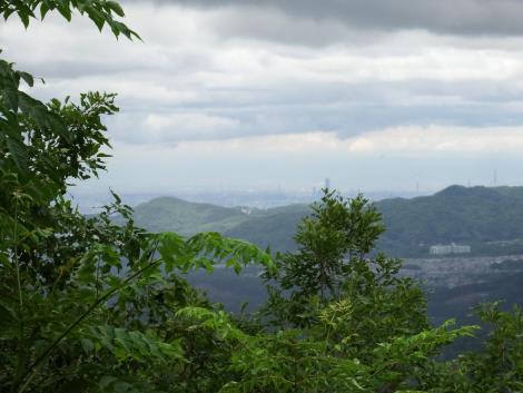 ゼフィルスの森の小さな展望スペース