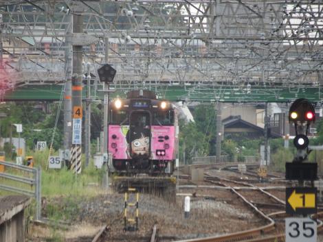 JR西 ねこ娘列車