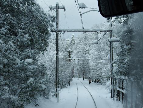 叡電もみじのトンネル付近