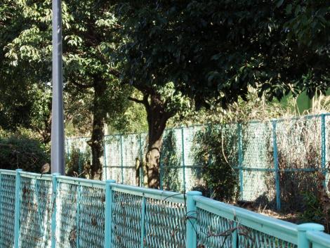 JR西 奈良線103系とジョウビタキ